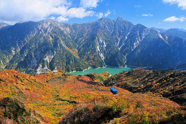 北アルプスの大自然を満喫 立山黒部アルペンルートってどんなところ 国内旅行 海外旅行のお得な情報を発信中 旅行地の情報をさらに詳しく知りたい人 旅行に関するお得な知識を知りたい人必見です