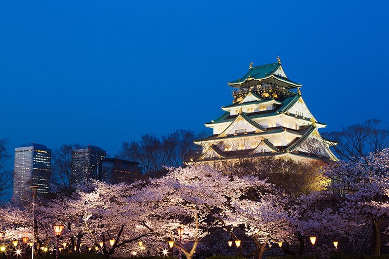 大阪城公園 桜