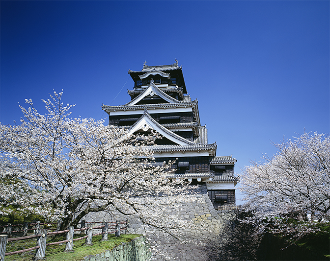 熊本城と桜 イメージ