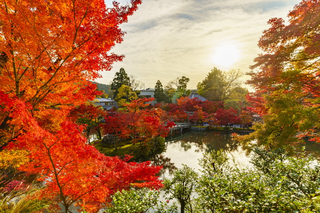 永観堂の紅葉（イメージ）