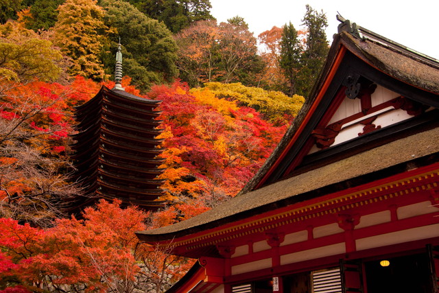 談山神社の紅葉（イメージ）