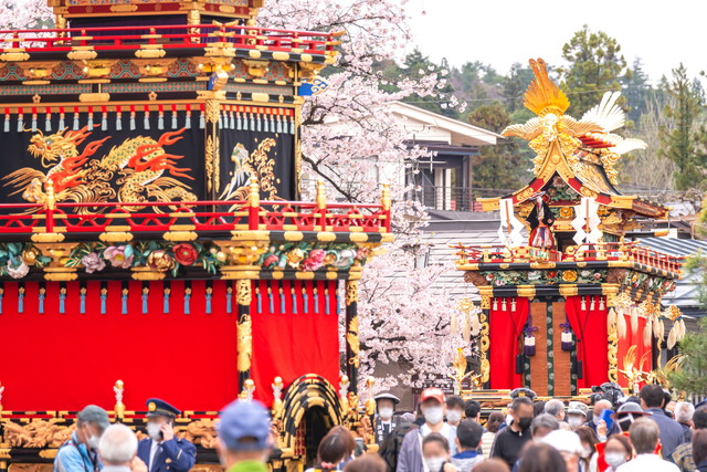 春の高山祭（イメージ）