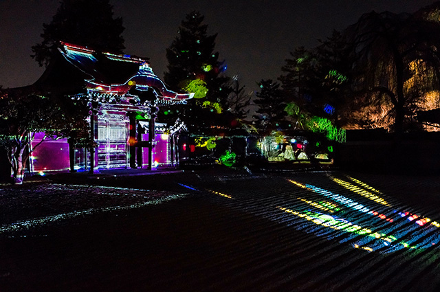 高台寺「夏の夜間特別拝観」プロジェクションマッピング（イメージ）