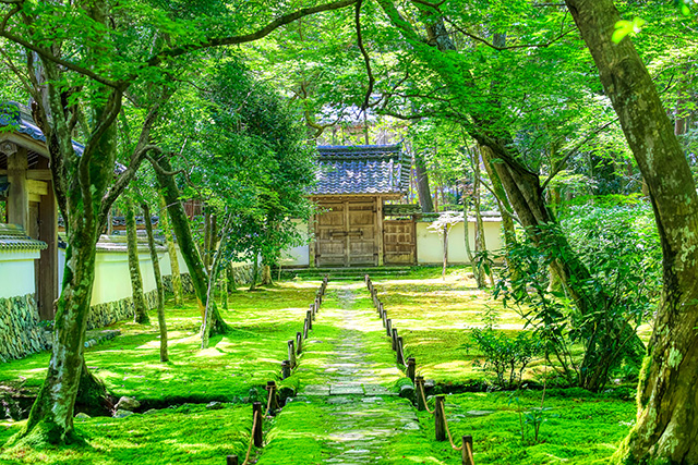 西芳寺（イメージ）