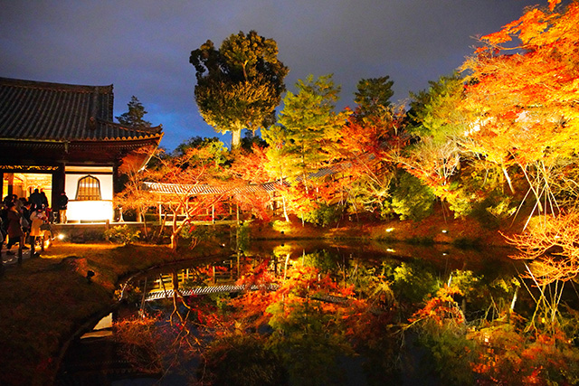 高台寺 紅葉ライトアップ（イメージ）