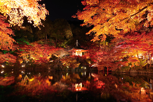 醍醐寺 紅葉ライトアップ（イメージ）