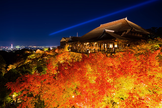 清水寺 紅葉ライトアップ（イメージ）