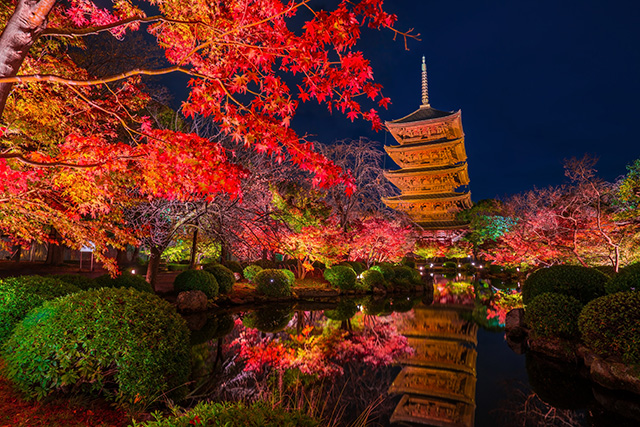 東寺 紅葉ライトアップ（イメージ）