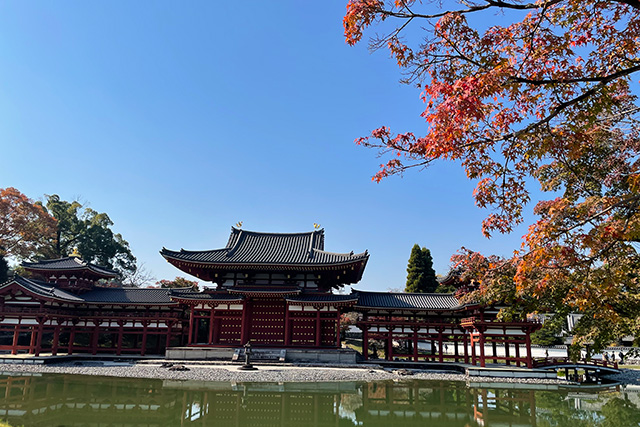 平等院鳳凰堂と紅葉 日中の景色（イメージ）