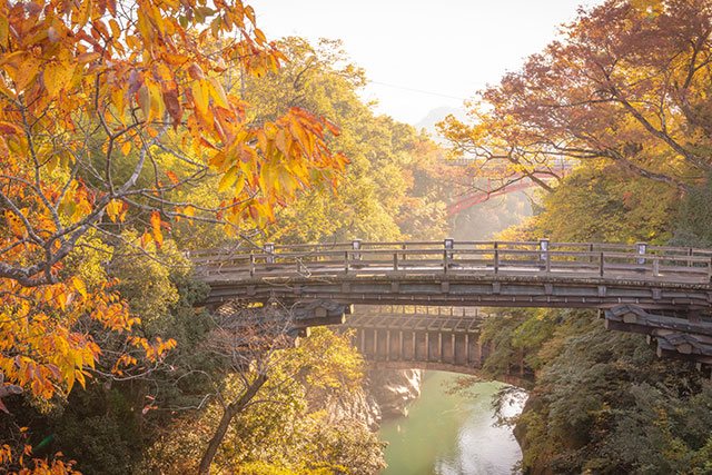 猿橋 紅葉（イメージ）