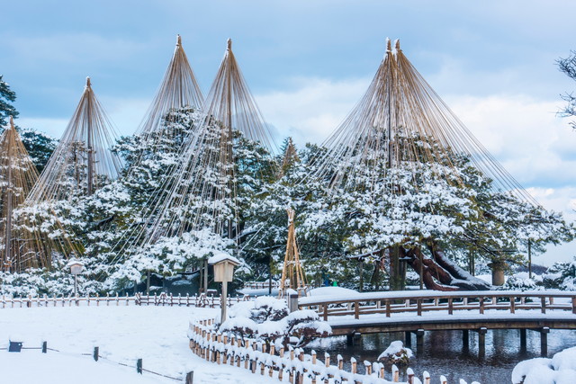 兼六園 雪吊り（イメージ）