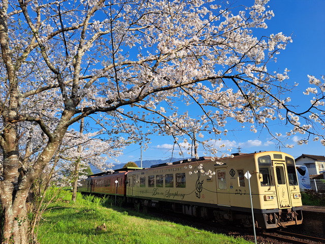 くま川鉄道（イメージ）