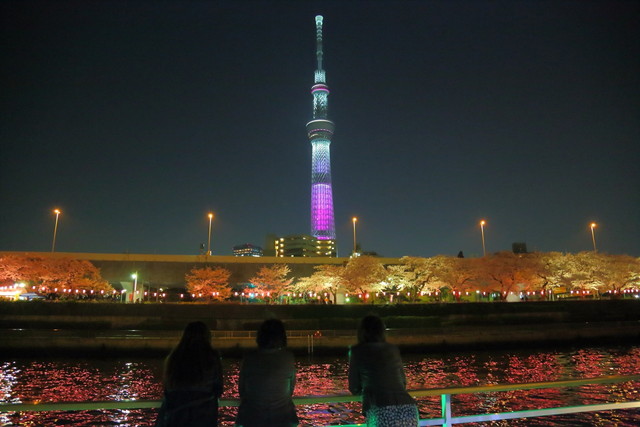 隅田川夜桜クルーズ（イメージ）