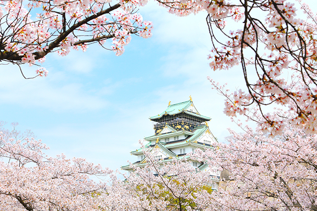 大阪城と桜（イメージ）