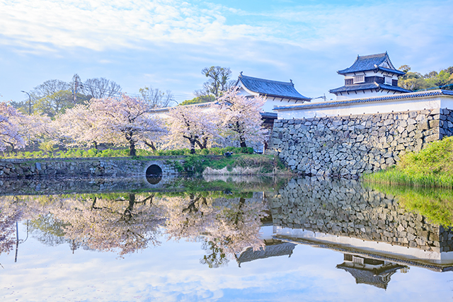 (伝)潮見櫓と桜（イメージ）