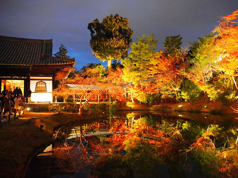 ぷらっと旅 京都 安い 近江の紅葉ハイライト2日間