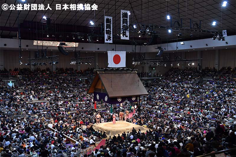 新幹線で行く！大相撲十一月場所（九州場所）マスA席福岡国際センター 日帰り