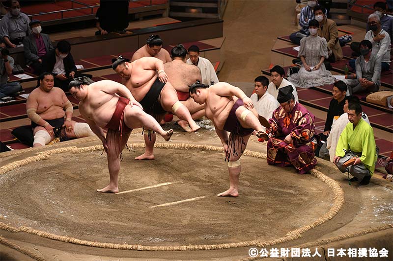 新幹線で行く！大相撲十一月場所（九州場所）マスA席福岡国際センター 日帰り