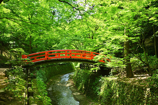 北野天満宮 もみじ苑