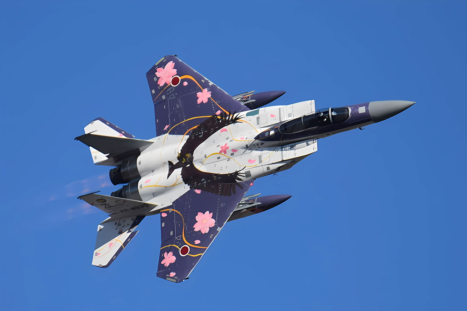 f-15 第303飛行隊 70周年記念塗装機
				「喜寿の桜」