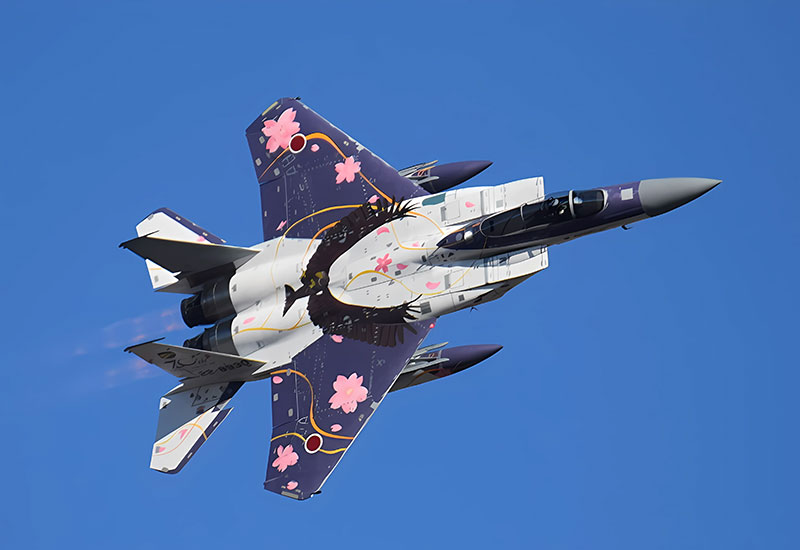 航空祭前日 F-15J 306SQの特別塗装機