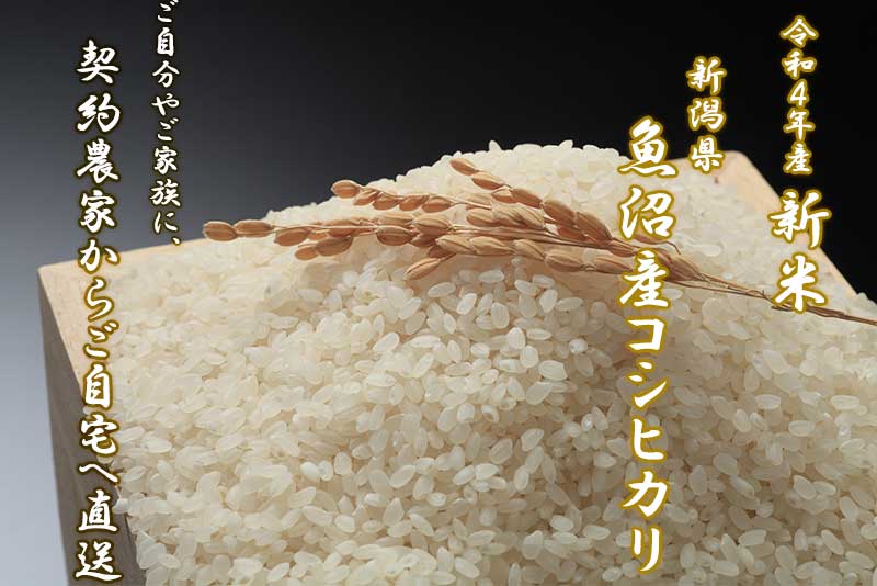 送料込み 令和5年産 高知県産 新米コシヒカリ 玄米10㎏(袋込み)