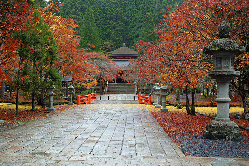 高野山