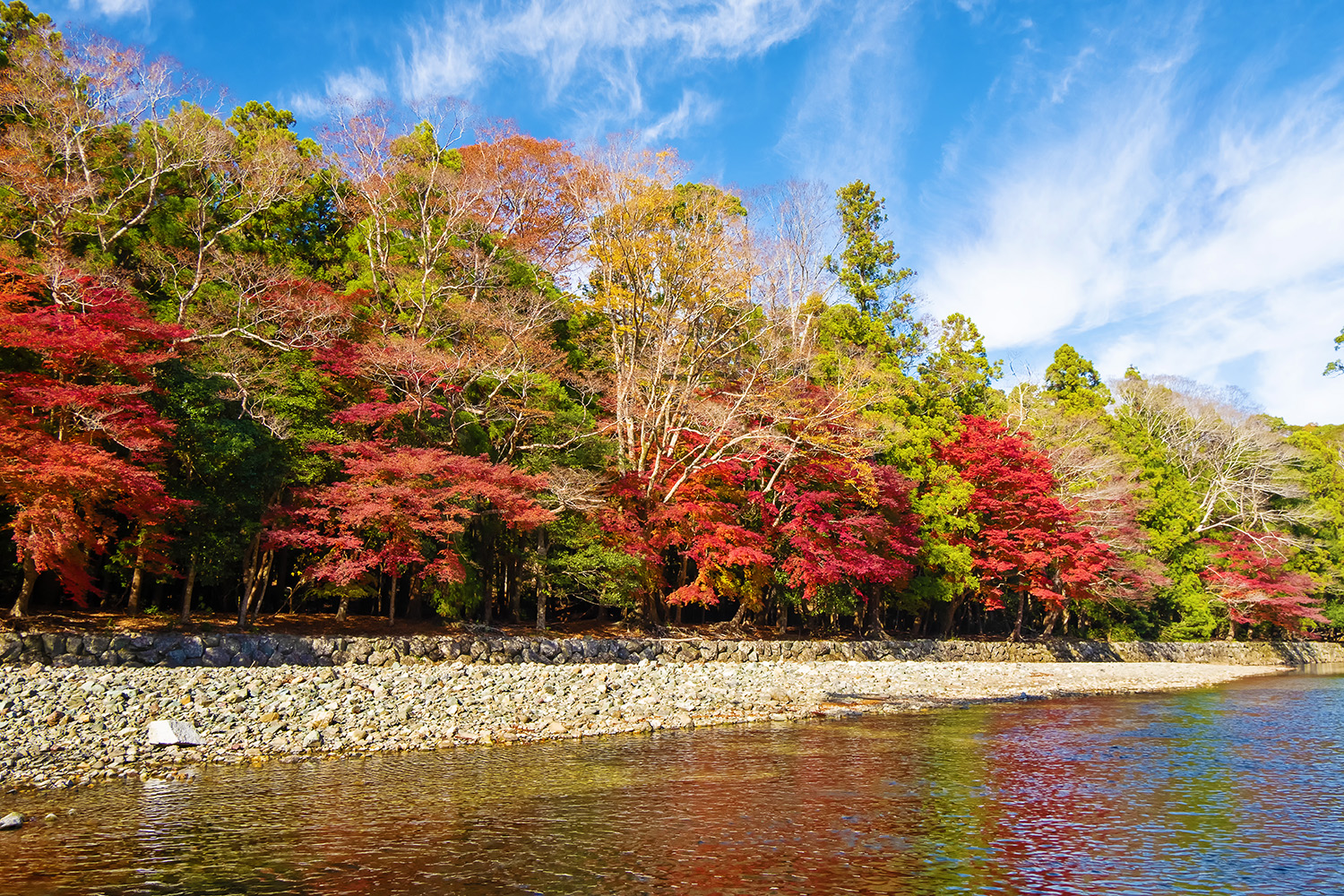 伊勢神宮 御手洗場の紅葉