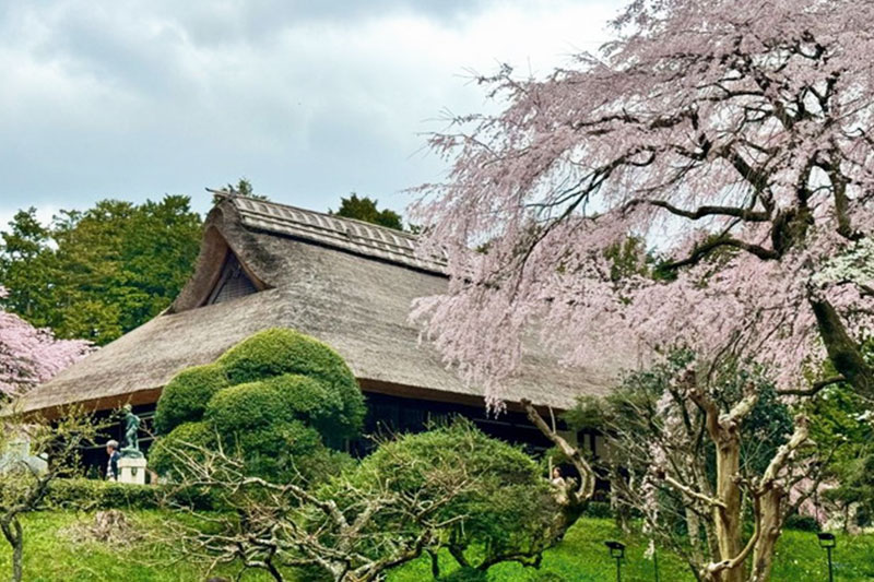 秩父宮記念公園