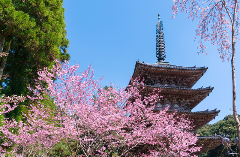 醍醐寺