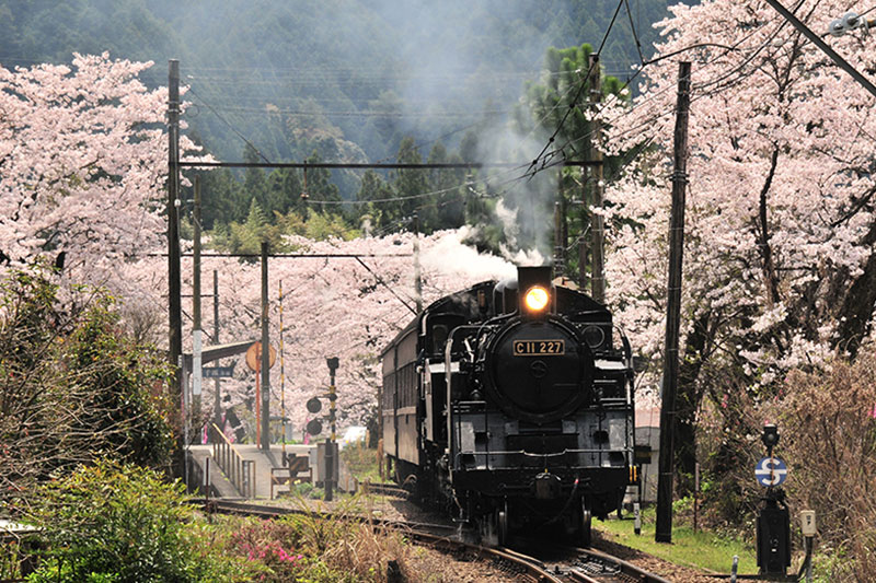 家山トンネル