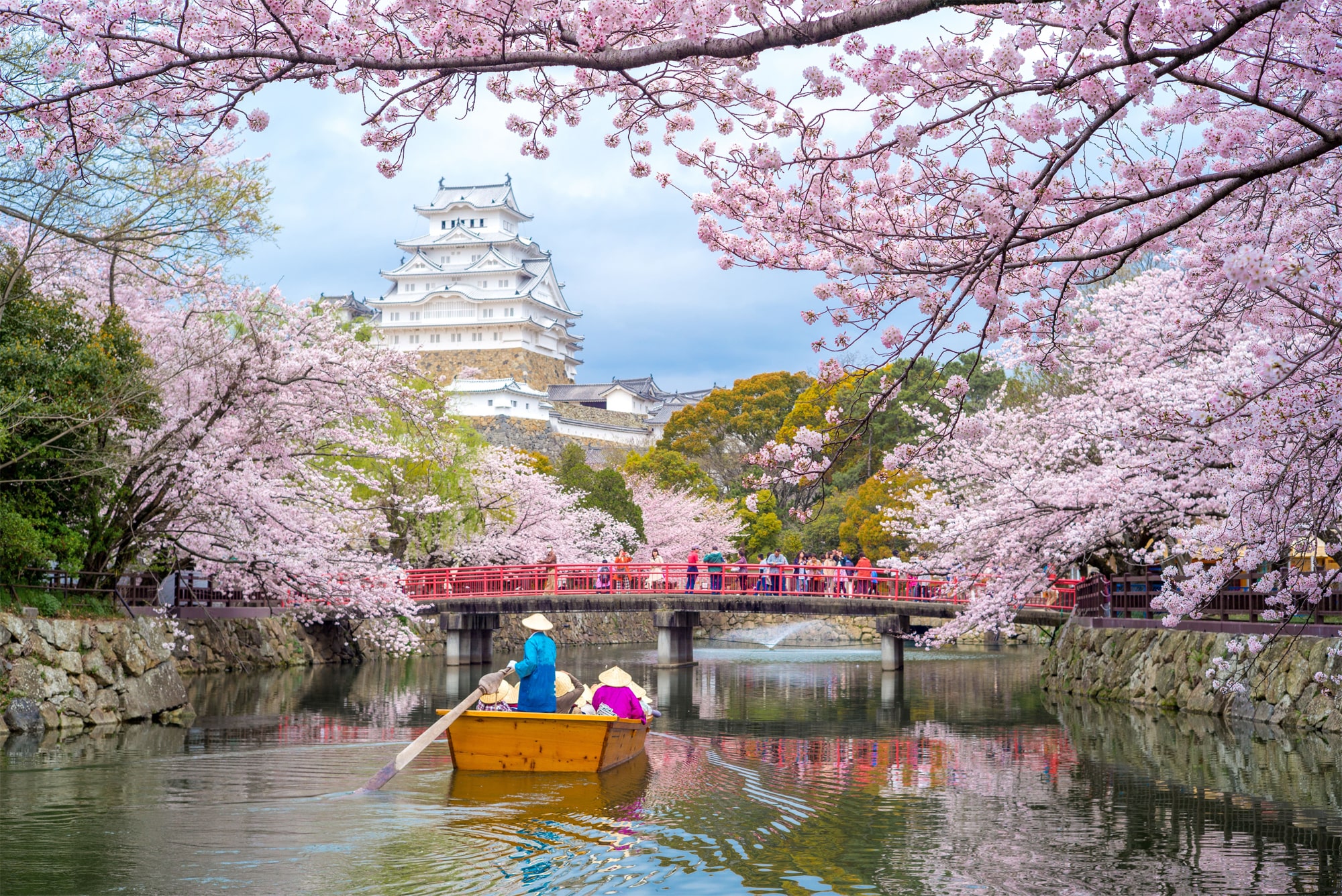 桜メイン画像