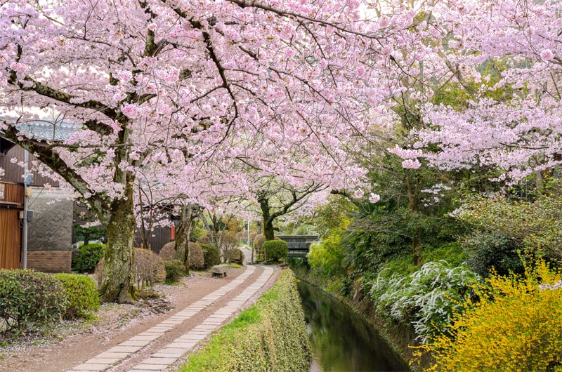 哲学の道