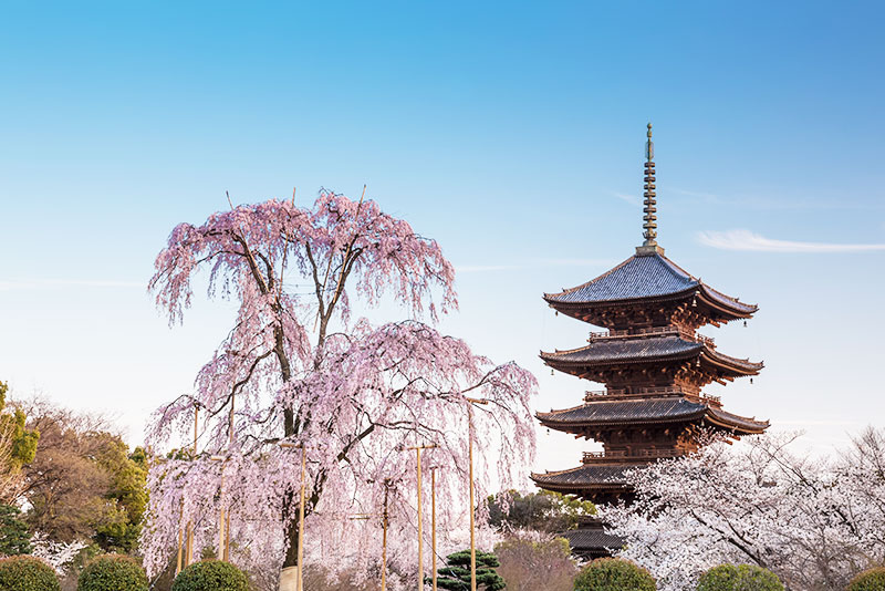 東寺