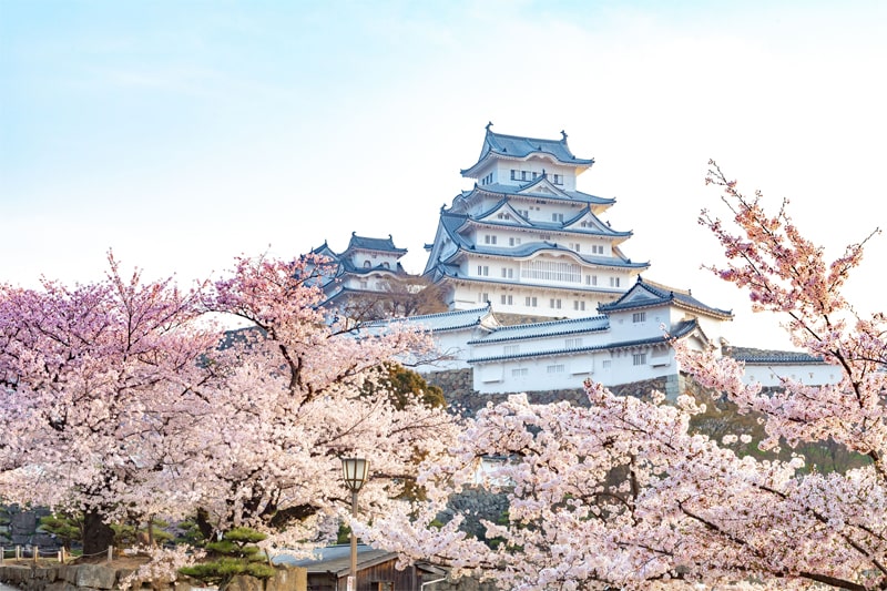 姫路城・春（兵庫県）