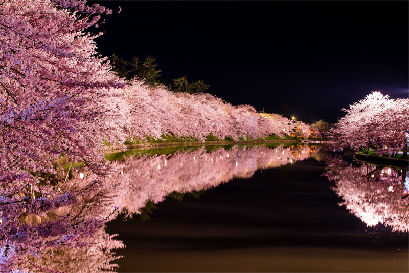 宮城県　白石川堤一目千本桜