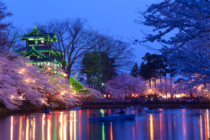 高田城址公園の桜