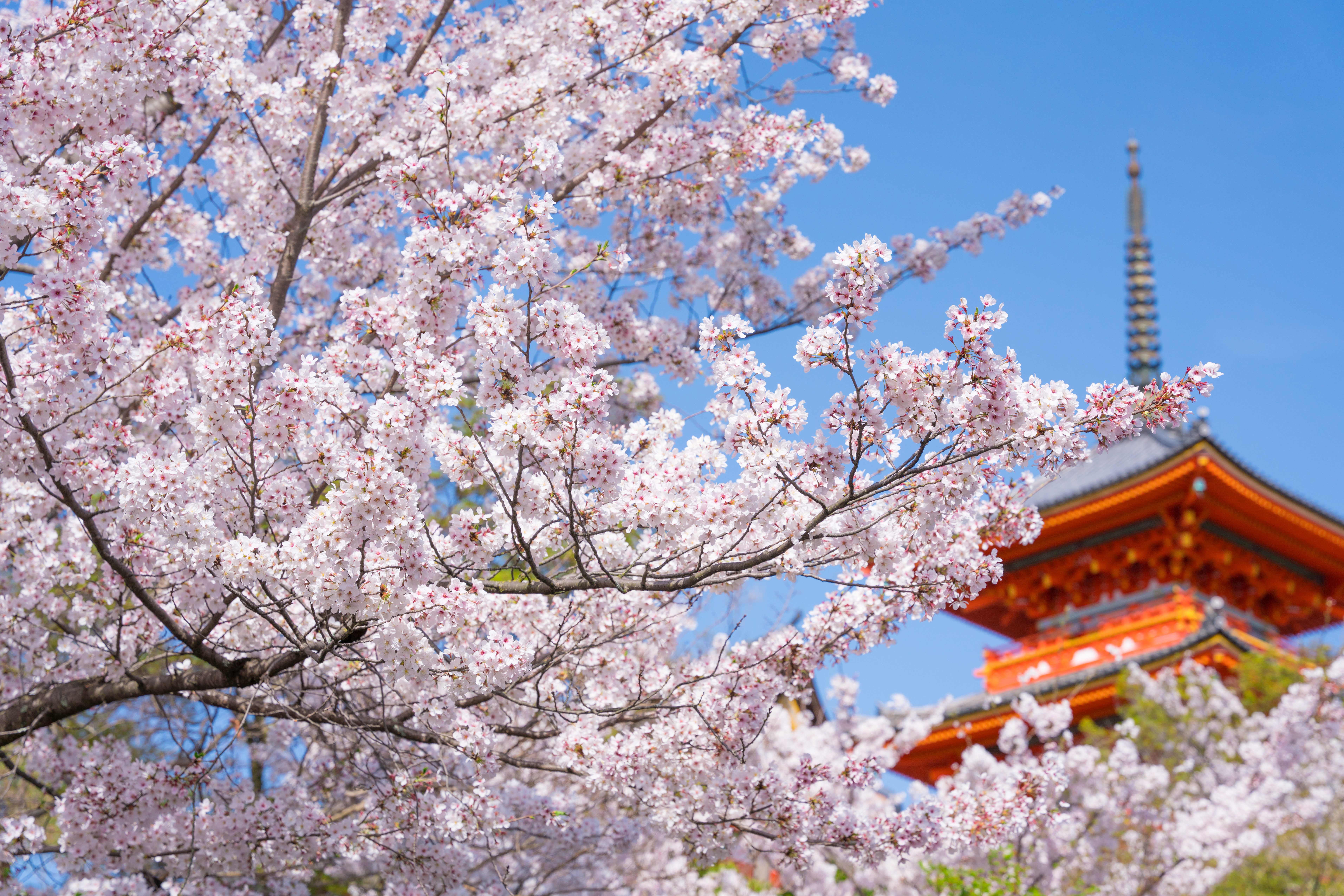 清水寺